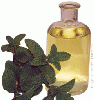 Peppermint Oil from AOS PRODUCTS PVT LTD., DELHI, INDIA