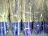 GRASS BROOM from VIP SUPER BROOMS INDIA, NEW DELHI, INDIA